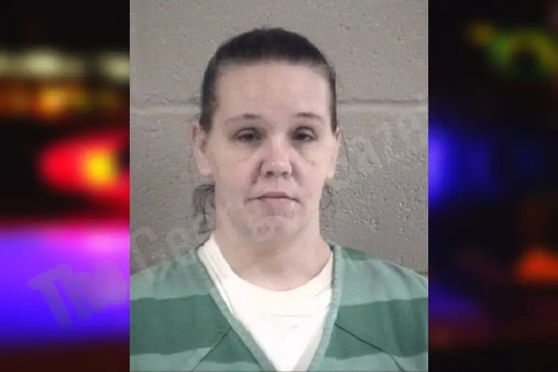 Brandi Cleveland mugshot