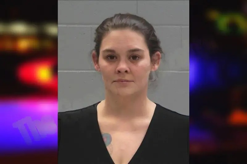 Brandi Pilkington Mugshots