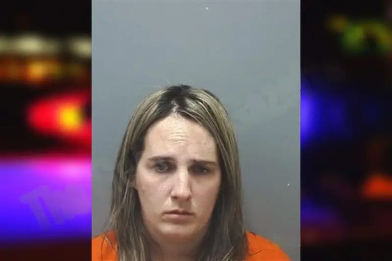 Brenda Walters mugshot – Cherokee County , Georgia Brenda Walters