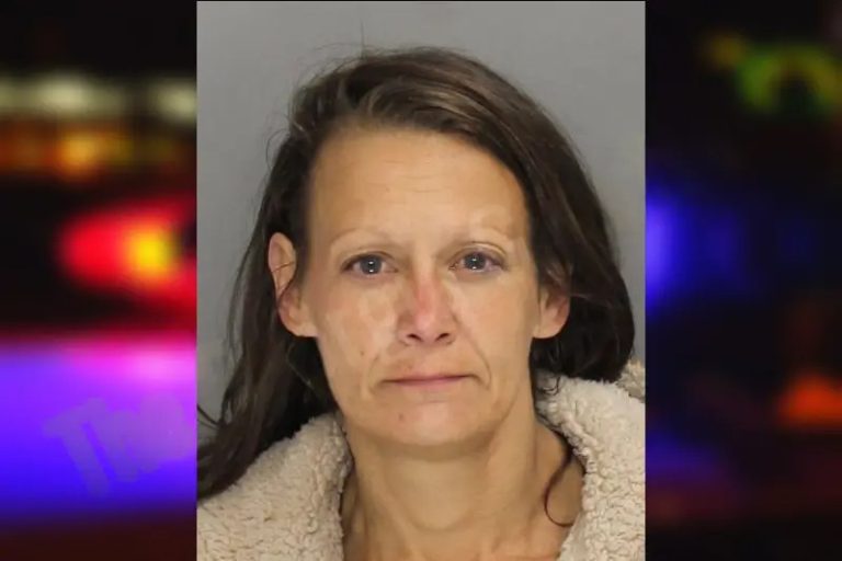 Bridgette Chupp mugshot – Cobb County , Georgia Bridgette Chupp