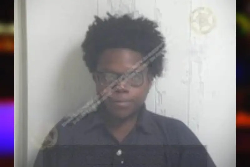 Briona Henley Mugshots