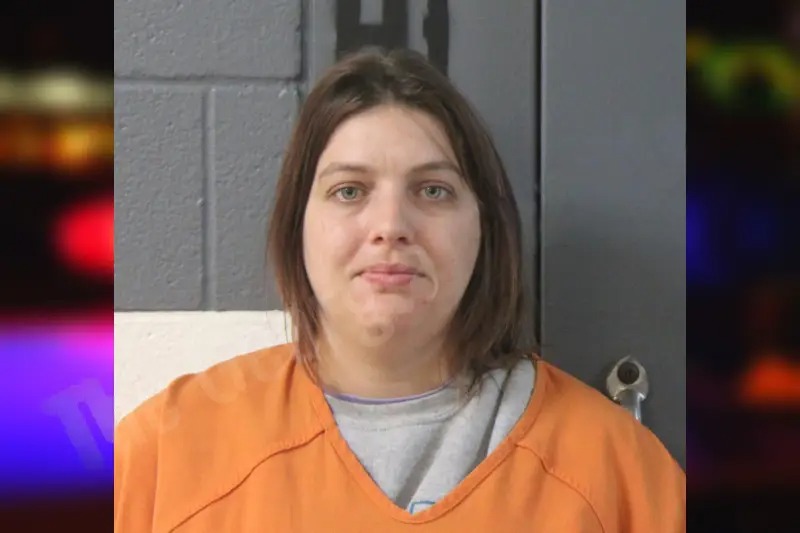 Brittani Meister mugshot