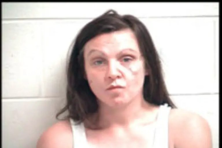 Brittany Caldwell mugshot – Henry County , Georgia Brittany Caldwell