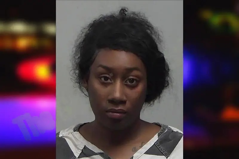 Brittany Hamilton Mugshots