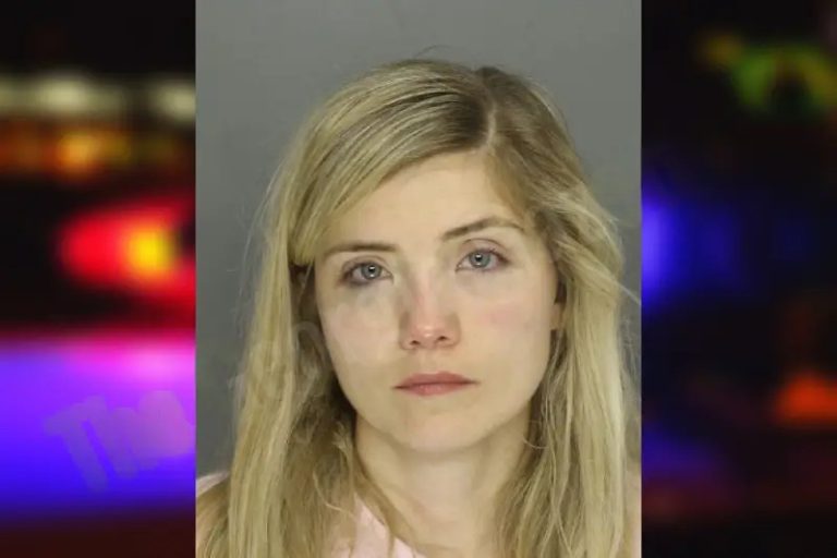Brooke McEntyre mugshot – Cobb County , Georgia Brooke McEntyre