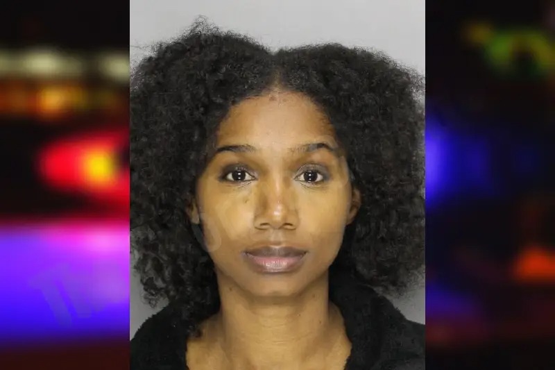 Brooke Mitchell Mugshots