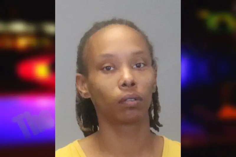 Chantia Mix Mugshots