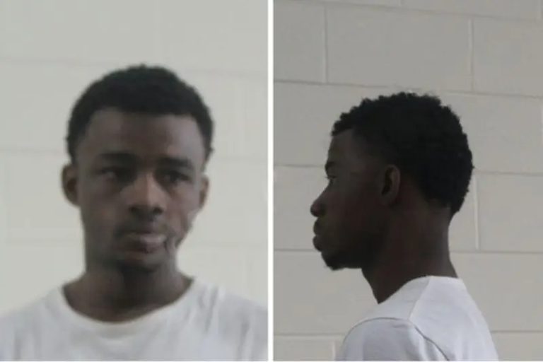 Chantler Hicks mugshot – Houston County , Georgia Chantler Hicks