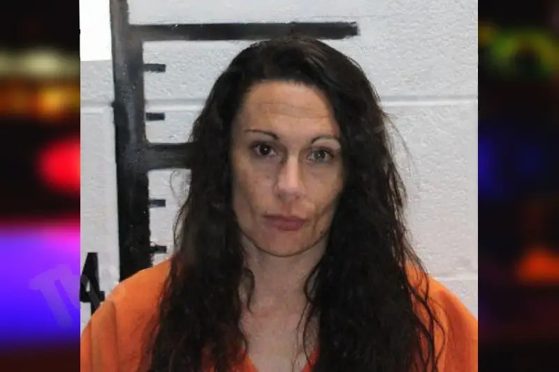 Chelsea Johns Mugshots