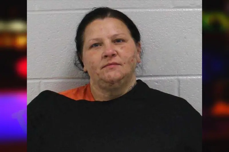 Christen Elkins mugshot – Carroll County , Georgia Christen Elkins mugshot