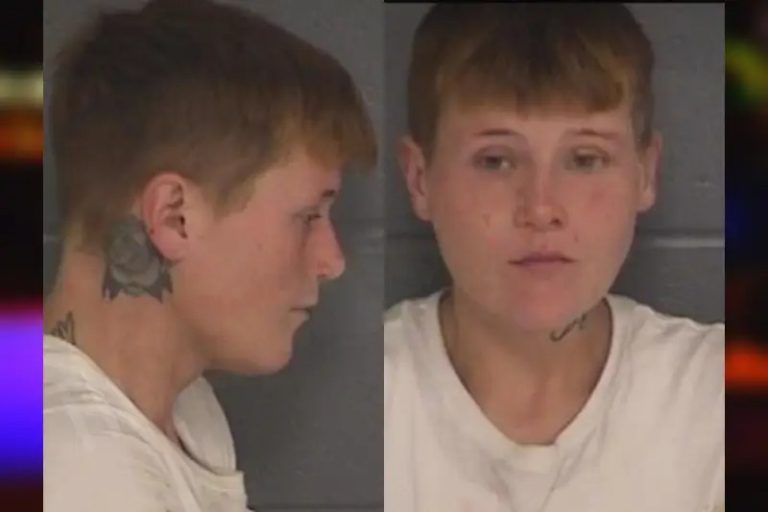 Christina Heaton mugshot – Barrow County , Georgia Christina Heaton