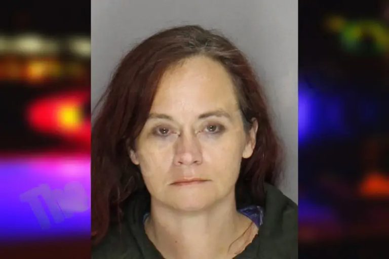 Christy Borden mugshot – Cobb County , Georgia Christy Borden