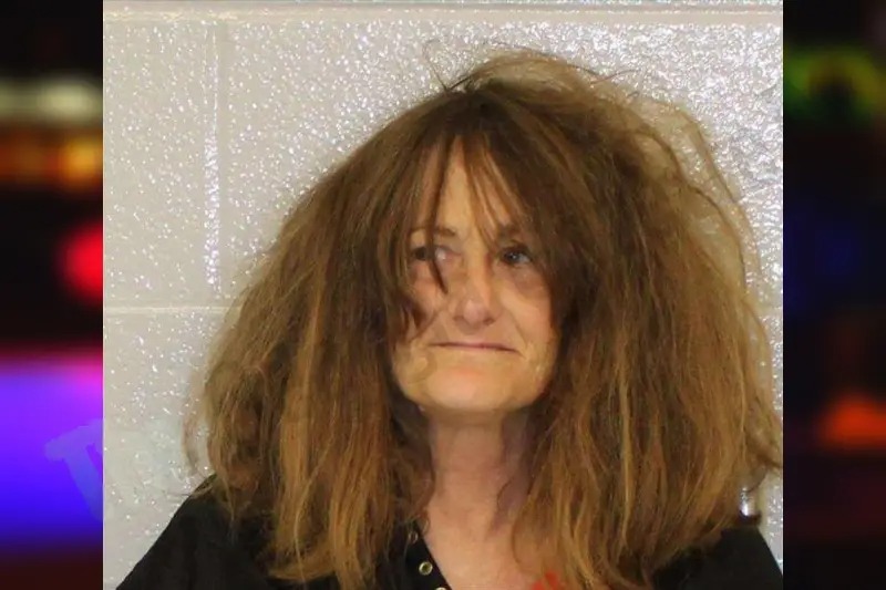 Cindy Rogers Mugshots