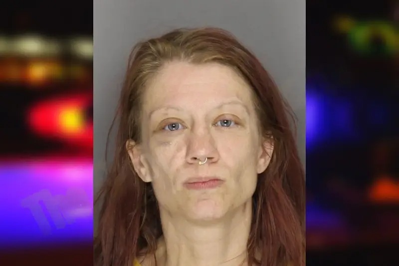 Clara Palmer mugshot – Cobb County , Georgia Clara Palmer mugshot