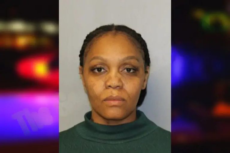 Courtney Young mugshot – Hall County , Georgia Courtney Young