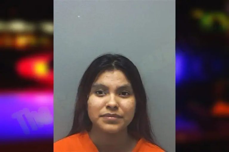 Cristina Jimenez-Gomez mugshot – Cherokee County , Georgia Cristina Jimenez-Gomez