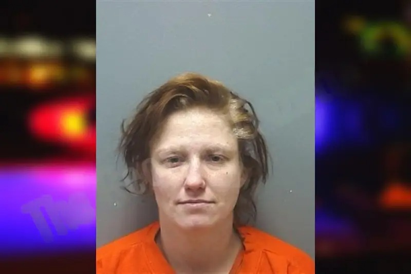 Cynthia Hooks mugshot
