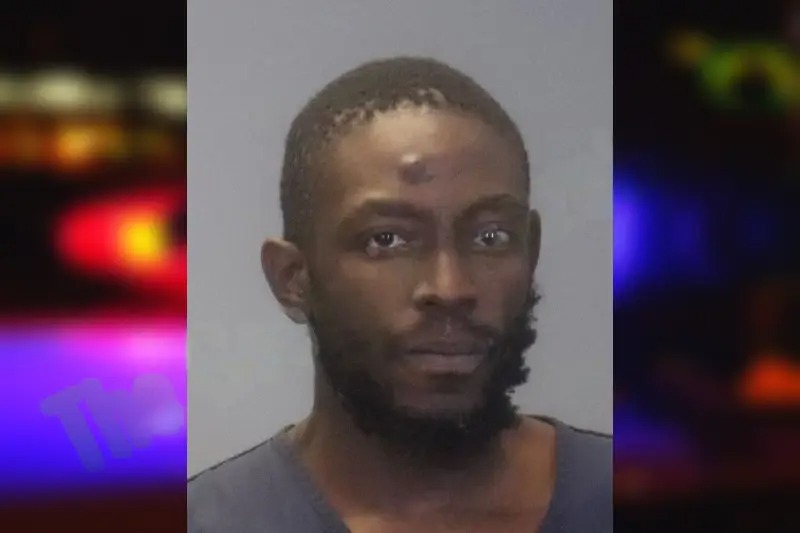 Damian Brown Mugshots