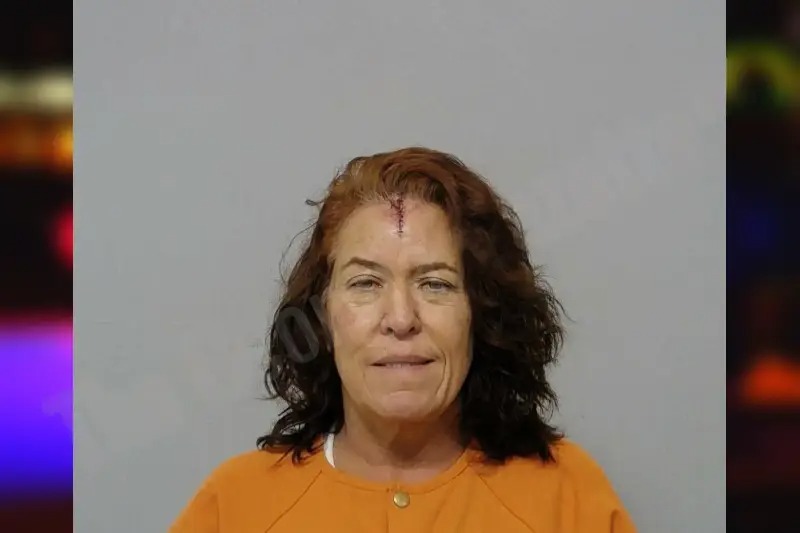 Dawn Borges mugshot