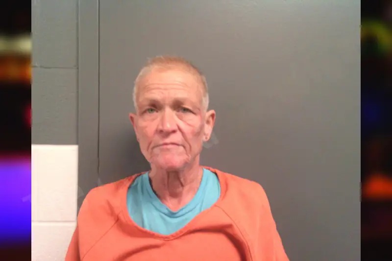 Dawn Dooley mugshot – Lumpkin County , Georgia Dawn Dooley mugshot