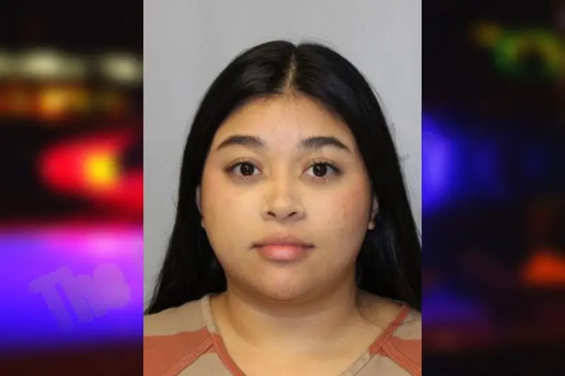 Dayanara Romero mugshot – Hall County , Georgia Dayanara Romero mugshot