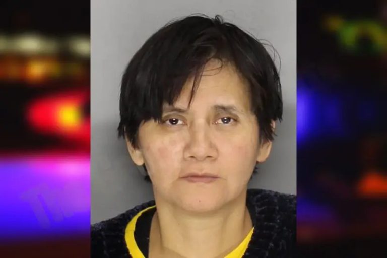 Daysy Reyes mugshot – Cobb County , Georgia Daysy Reyes