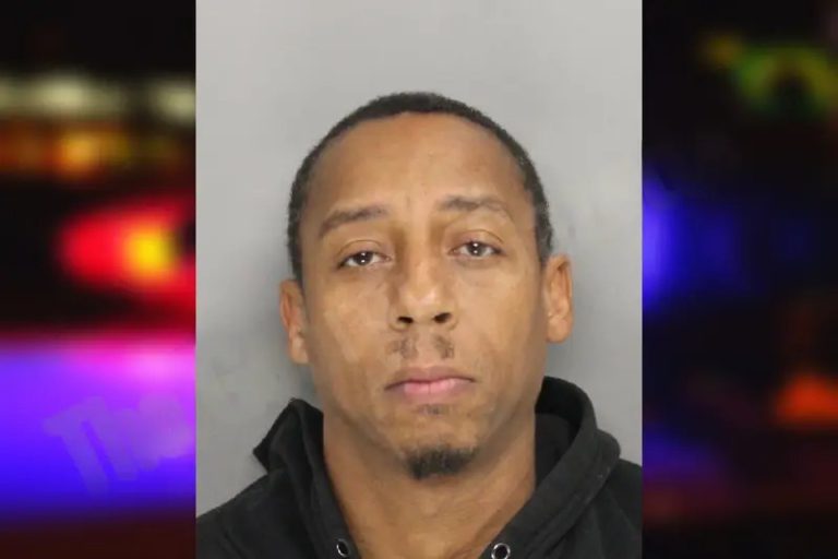 Deshanta Reece mugshot – Cobb County , Georgia Deshanta Reece