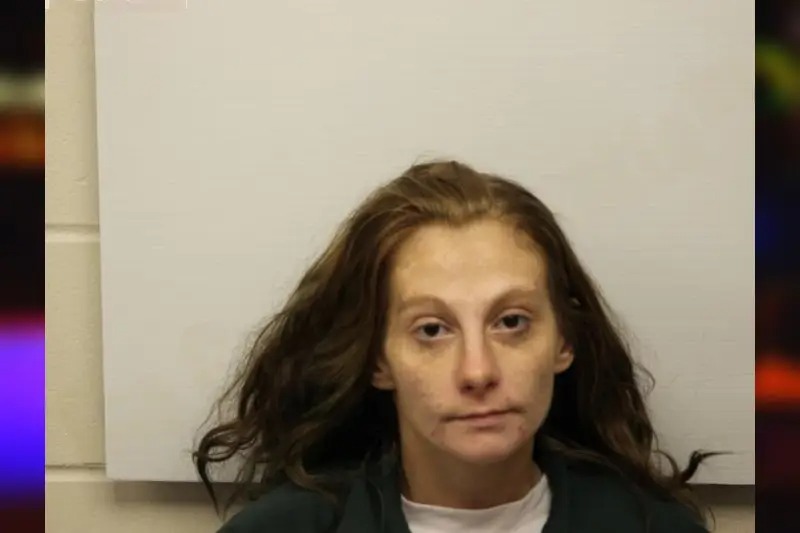 Destiny Jenkins Mugshots