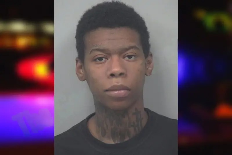 Diamond McClinton Mugshots