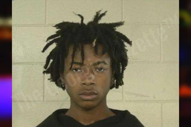 Donnie King Mugshots