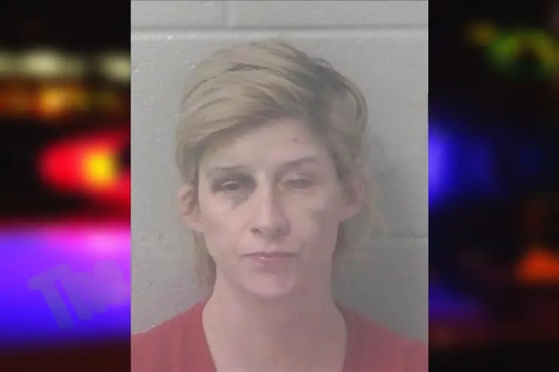 Dorothy Bedgood Mugshots