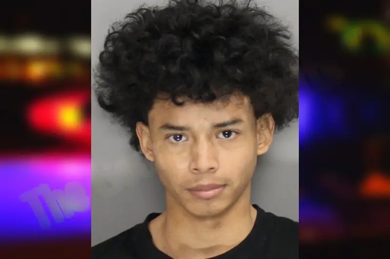 Edwin Flores Mugshots