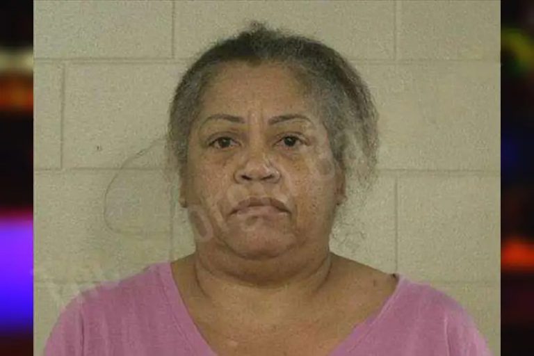 Elizabeth Ervin mugshot – Liberty County , Georgia Elizabeth Ervin