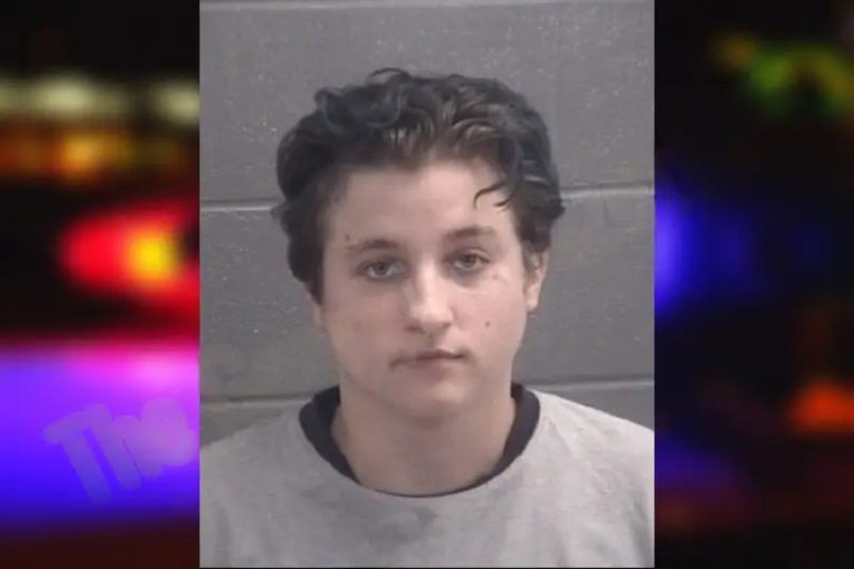 Elizabeth Kimbell mugshot – Spalding County , Georgia Elizabeth Kimbell