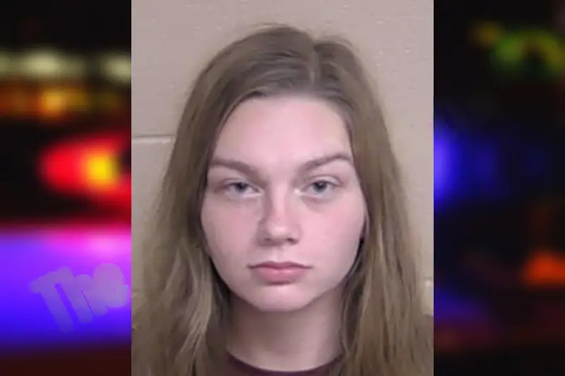 Elysia Climer Mugshots