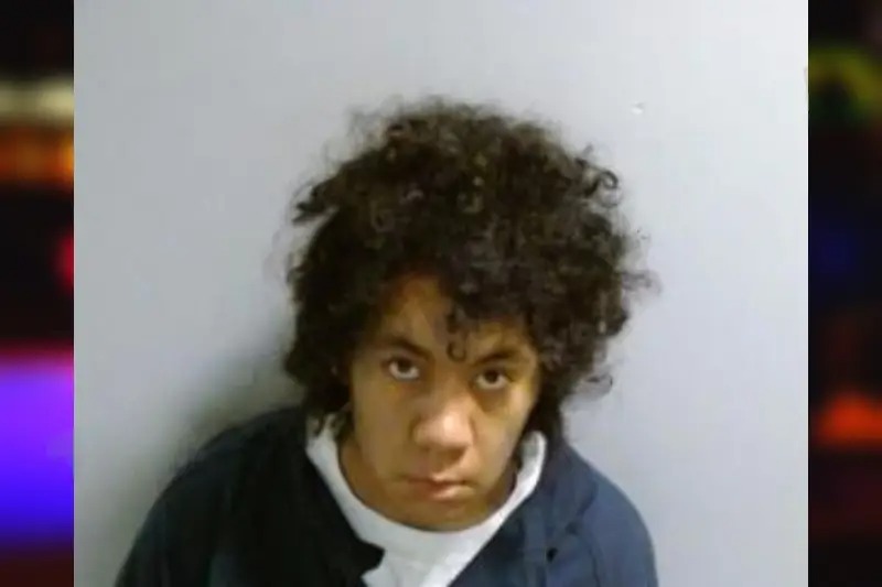 Emily Ouellette Mugshots