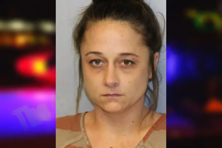 Emily Smith mugshot – Hall County , Georgia Emily Smith