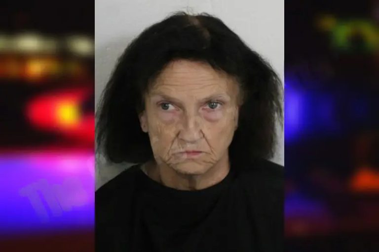 Esther Nelson mugshot – Floyd County , Georgia Esther Nelson