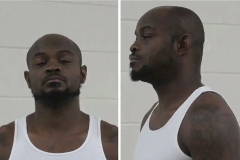 Fabien Williams Mugshots