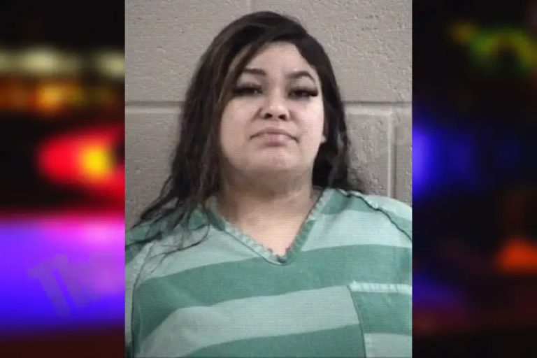 Frangelie Torres mugshot – Chatham County , Georgia Frangelie Torres