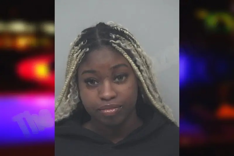 Franzetta Wilson mugshot