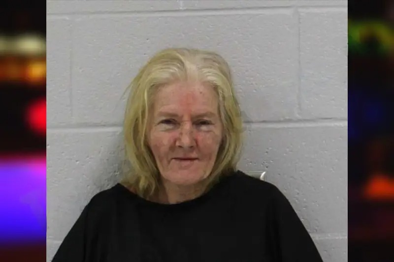 Gidget Bruce Mugshots