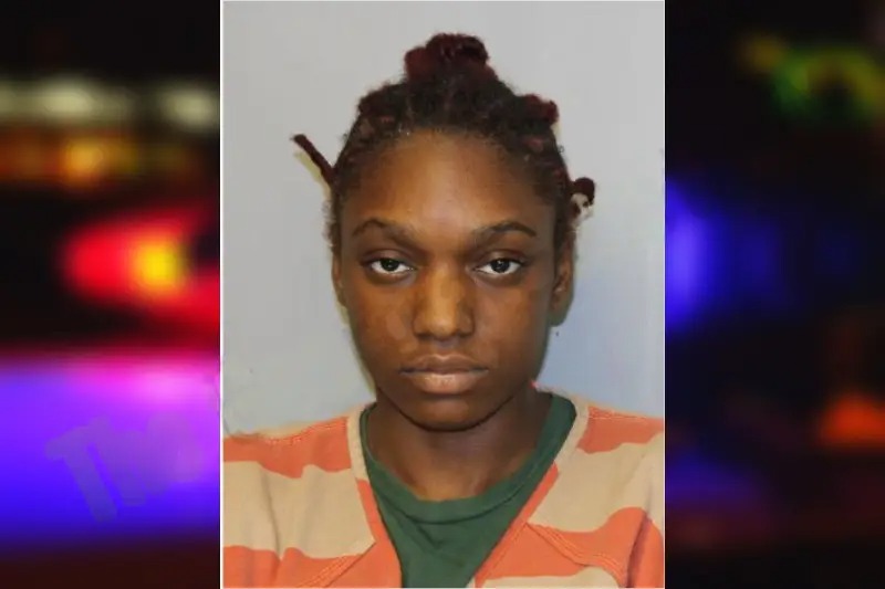 Hadassa Saintjean Mugshots