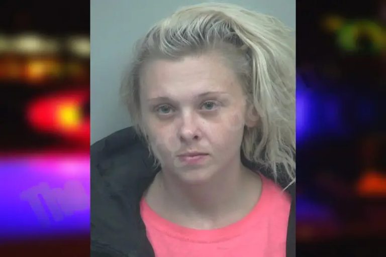 Hannah Johnson mugshot – Gwinnett County , Georgia Hannah Johnson