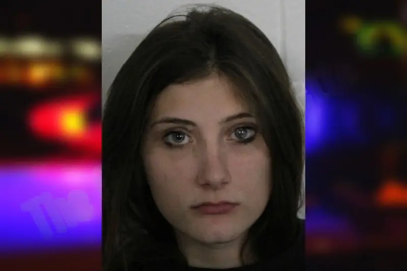 Heaven Reynolds mugshot – Floyd County , Georgia Heaven Reynolds mugshot