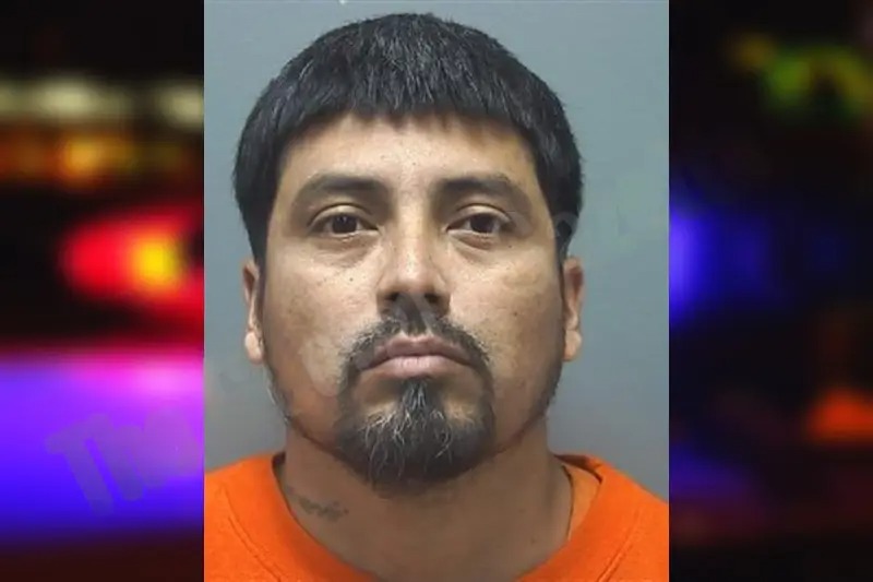 Ines Jarquin-Cortes Mugshots