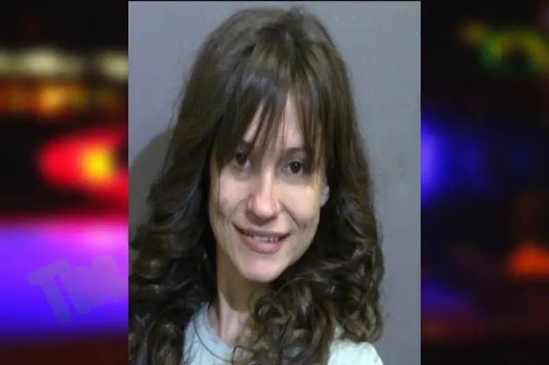 Ivelisse Gonzalez Mugshots