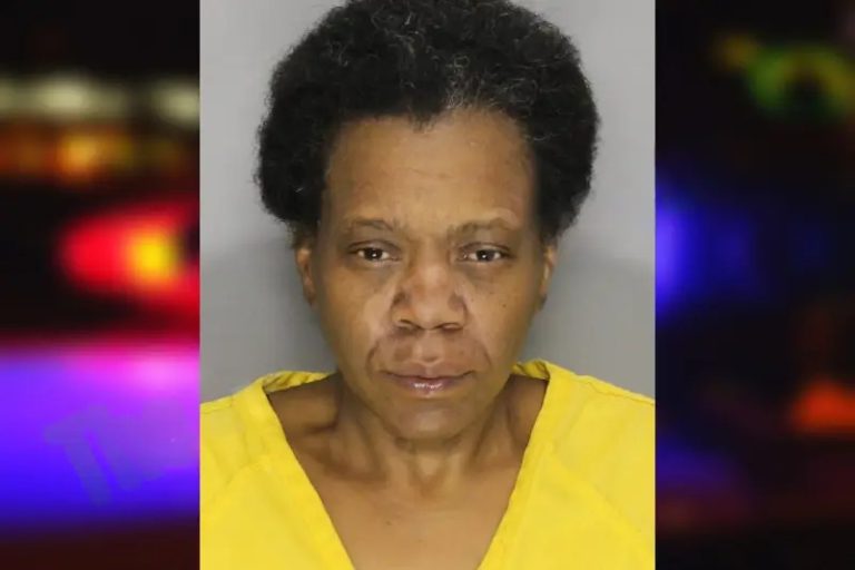 Jana Brown mugshot – Cobb County , Georgia Jana Brown