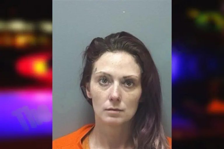 Jessica Erd mugshot – Cherokee County , Georgia Jessica Erd