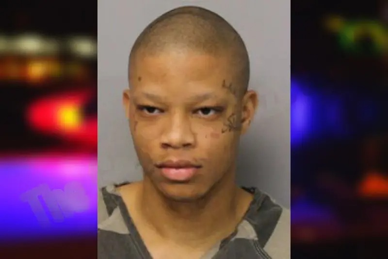 Joshua Ariori mugshot